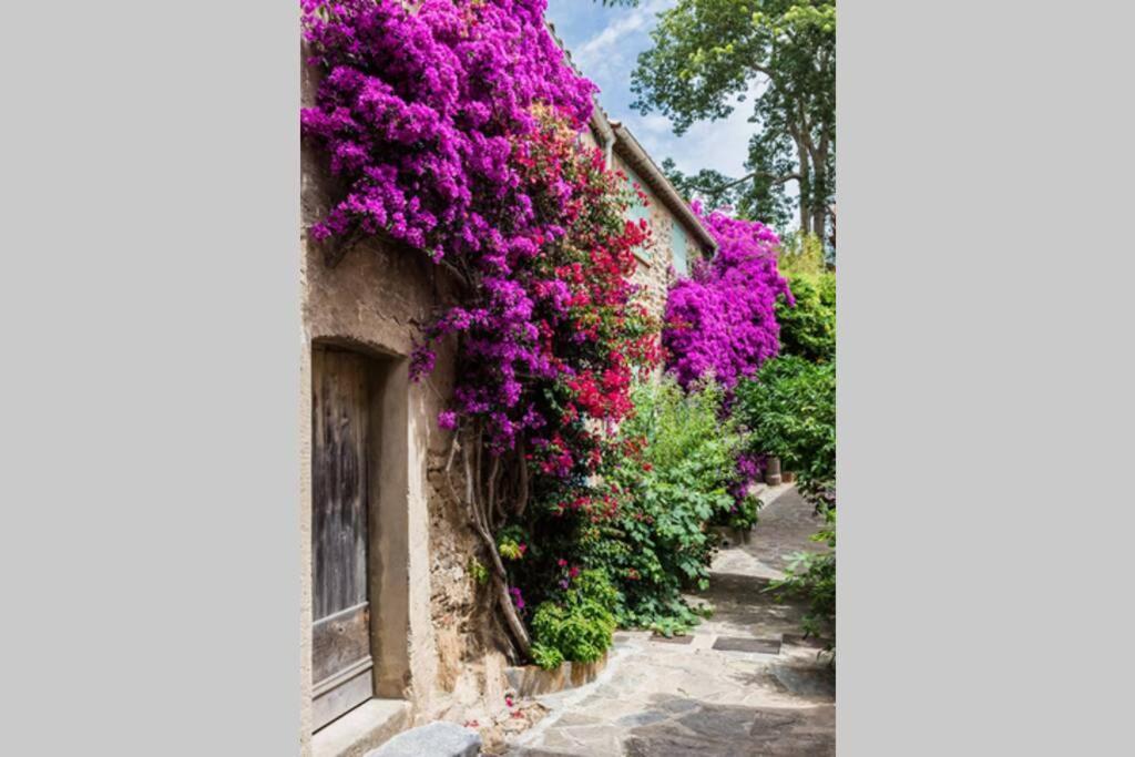 Ferienwohnung Coquet 2 Pieces Coeur Vieil Antibes Exterior foto